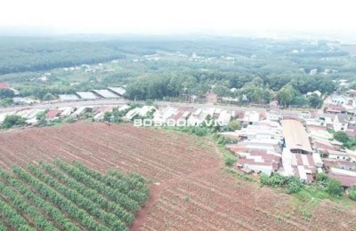 Đấu giá rút gọn QSDĐ và tài sản gắn liền với đất tại Đồng Nai